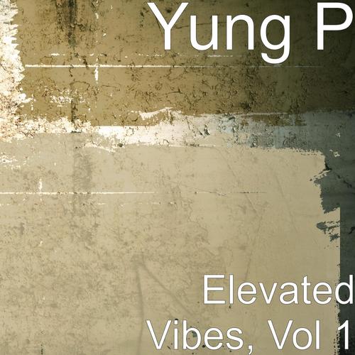 Elevated Vibes, Vol. 1