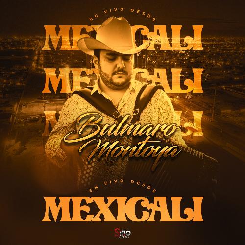 En Vivo Desde Mexicali_poster_image