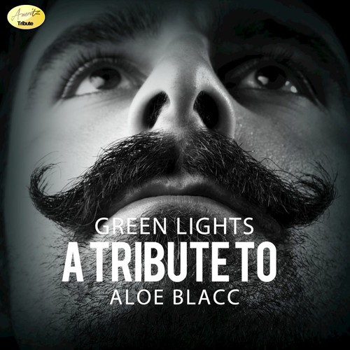 Gå tilbage udvikling gå Green Lights - A Tribute To Aloe Blacc Songs Download - Free Online Songs @  JioSaavn