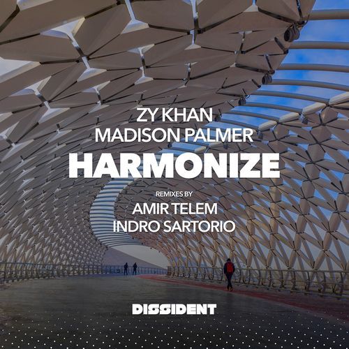 Harmonize (Amir Telem Remix) cover art