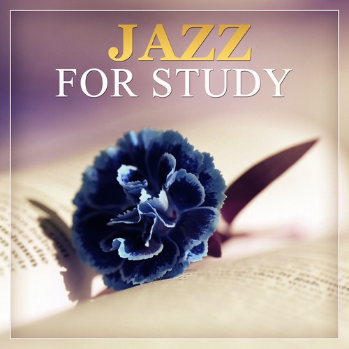 Easy Study Music Academy