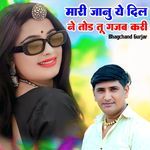 Mari Janu Ye Dil Ne Tod Tu Gajab Kari