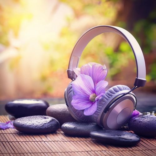 Music for Spa Serenity: Gentle Massage Tunes_poster_image