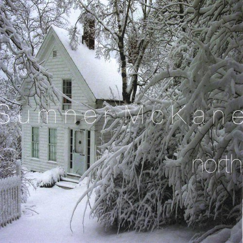 The Drive to Whitefish:midnight, With Concrete Blonde At a Perfe cover art