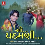 Dilwalo Driver Valo Ghano Lage