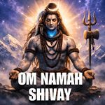 OM NAMAH SHIVAY
