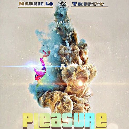 Pleasure_poster_image