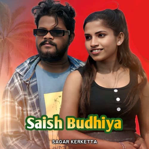 Saish Budhiya