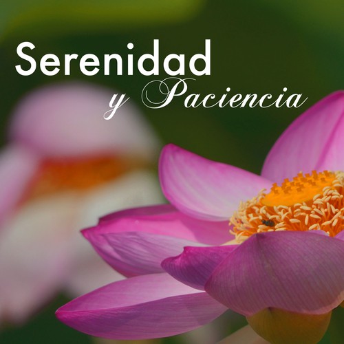 Serenidad Zen cover art