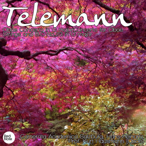 Telemann: Oboe Concerto in G majorConcerto for Oboe, Strings and B.C No.23 in G major