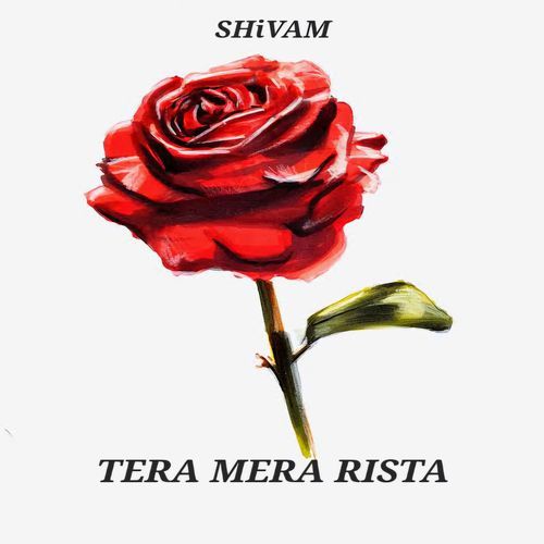 Tera Mera Rishta