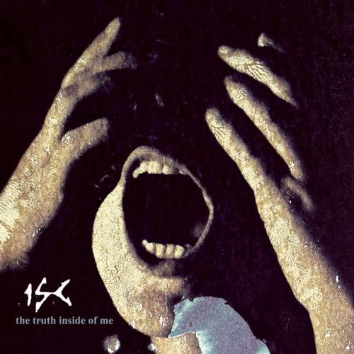 The Truth Inside of Me (Controlled Fusion Remix) cover art