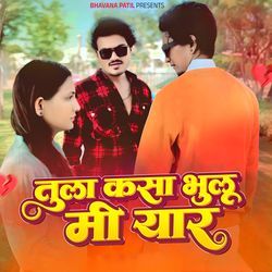 Tula Kasa Bhulu Mi Yaar