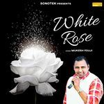 White Rose