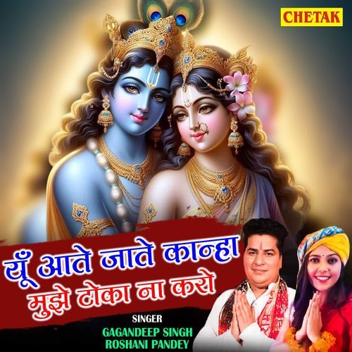 Yu Aate Jate Kanha Mujhe Toka Na Karo