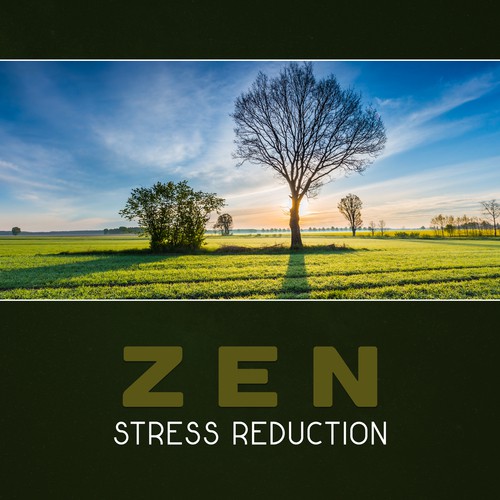 Zen Stress Reduction – Stress Management, Healing Your Mind, Improve Your Life, Boost Energy, Spa Relaxation, Wellbeing Therapy, Yoga Mindfulness, Calming Meditation