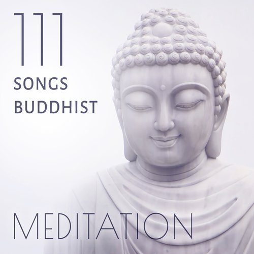 Beginners Meditation cover art