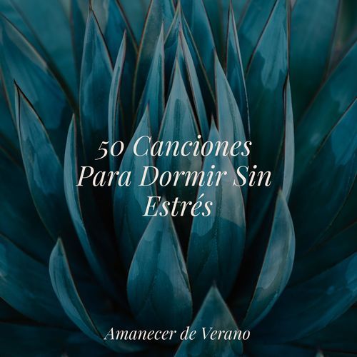 50 Canciones Para Dormir Sin Estrés