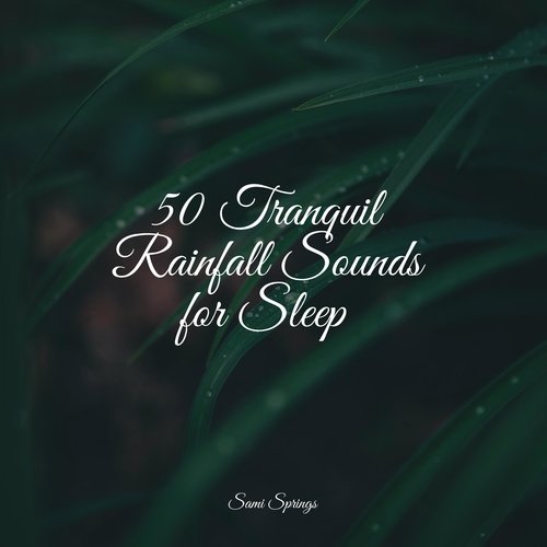 50 Tranquil Rainfall Sounds for Sleep_poster_image