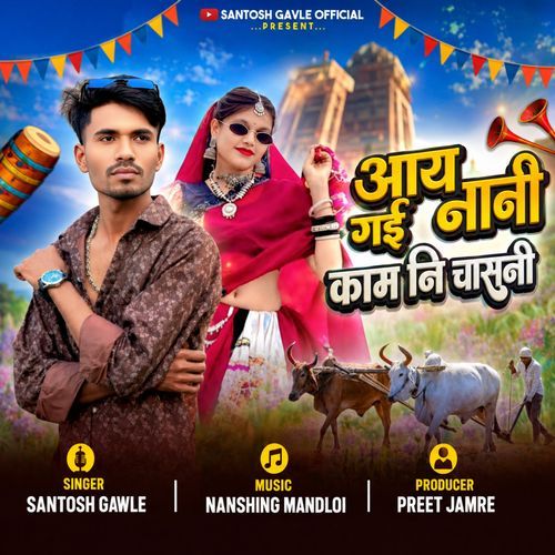 Aay Gayi Nani Kam Ni Chasni