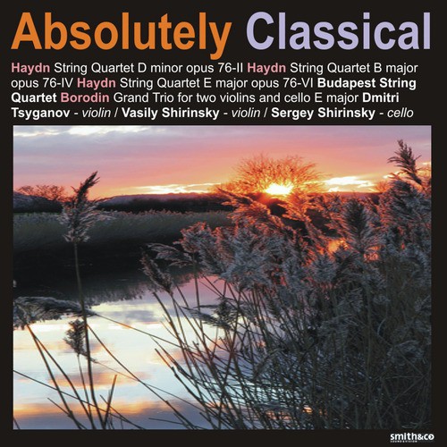 String Quartet in B Major, Op. 76-IV: II. Adagio