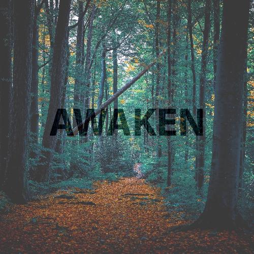 Awaken_poster_image