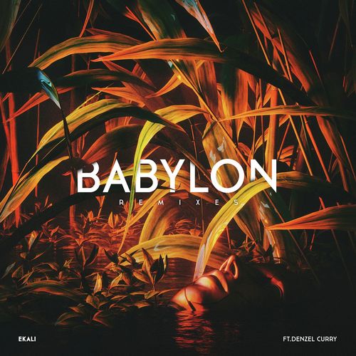 Babylon (feat. Denzel Curry) (Remixes)_poster_image