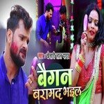 Baigan Baramad Bhail