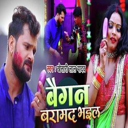 Baigan Baramad Bhail