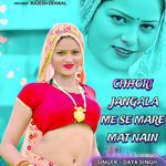 Chhori Jangala Me Se Mare Mat Nain