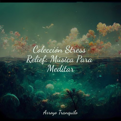 Colección Stress Relief: Música Para Meditar