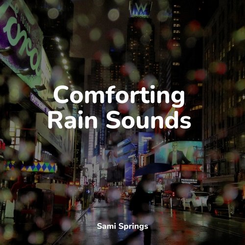 Comforting Rain Sounds_poster_image