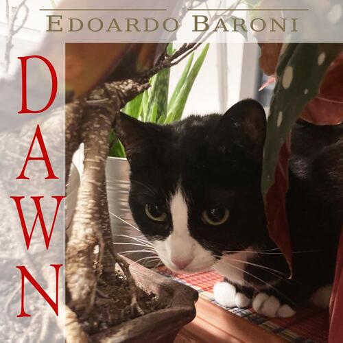 Full cover art