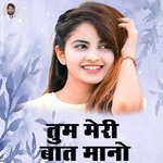 Deeksha Shastri artwork