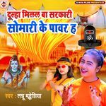 Dulha Milal Ba Sarkari Somari Ke Power H