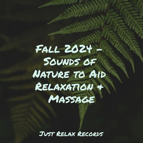 Fall 2024 - Sounds of Nature to Aid Relaxation & Massage