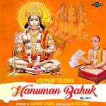 Goswami Tulsidas Hanuman Bahuk Vol 3 artwork
