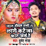 Jaan Rowat Rali Ta Lage Kareja Fat Jai Re