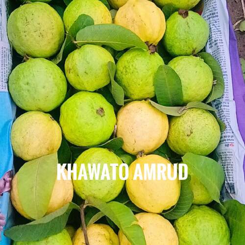 Khawato Amrud