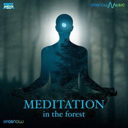 Meditation In The Forest-QSEbegJiVFQ