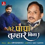Mere Papa Tumhare Bina