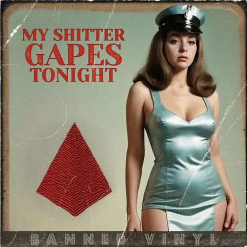 My Shitter Gapes Tonight cover art