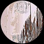 Moons of Pluto: Styx artwork