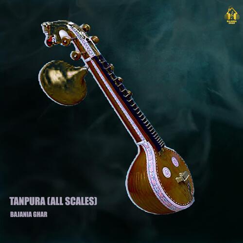 Tanpura (C Scale)