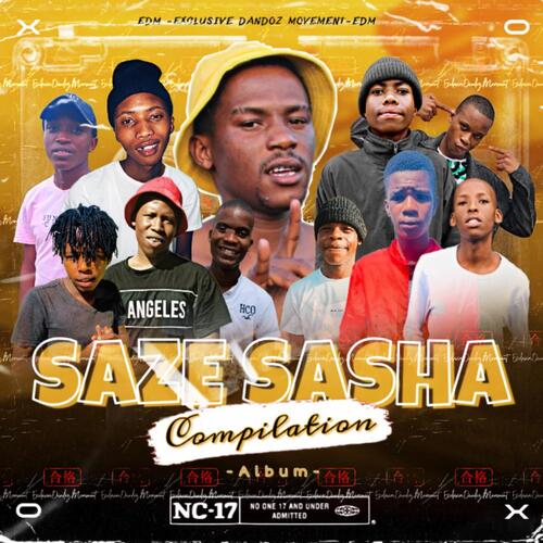 Saze Sasha Complilation Album (feat. Boisiin Tee Vocalist)_poster_image