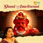 Shani Amritwani