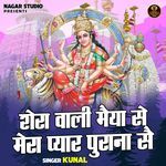 Shera Wali Maiya Se Mera Pyar Purana Sai