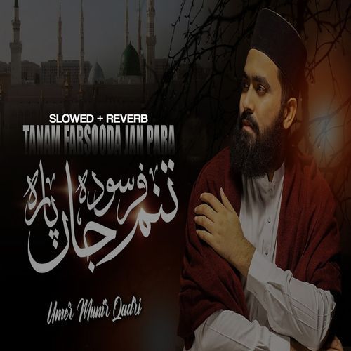 Tanam Farsooda Jan Para Lofi Version