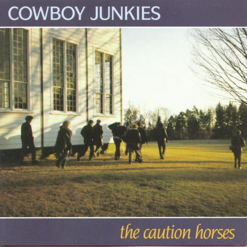 The Caution Horses_poster_image