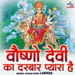 Vaishno Devi Ka Darbar Pyara Hai